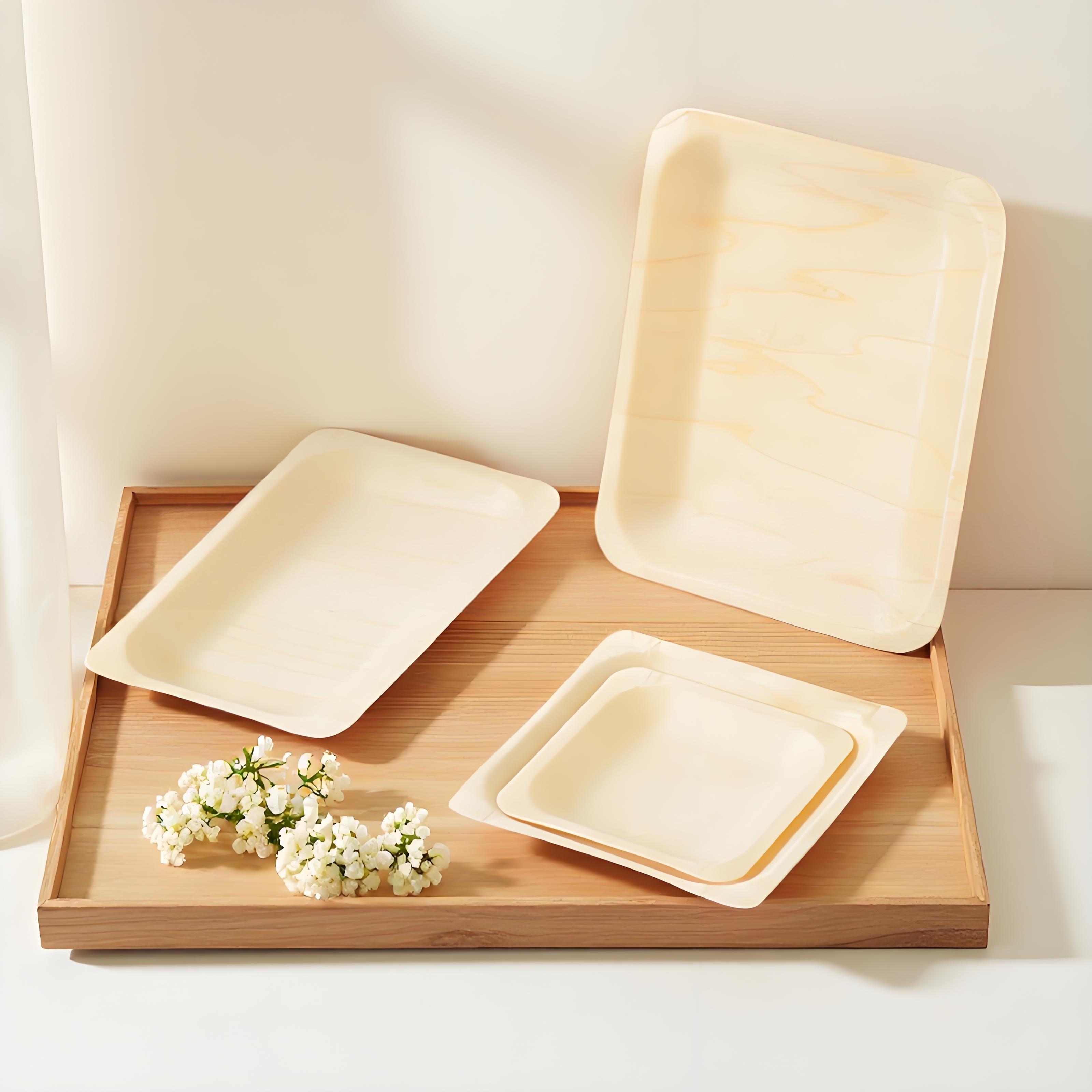 customizable disposable plates