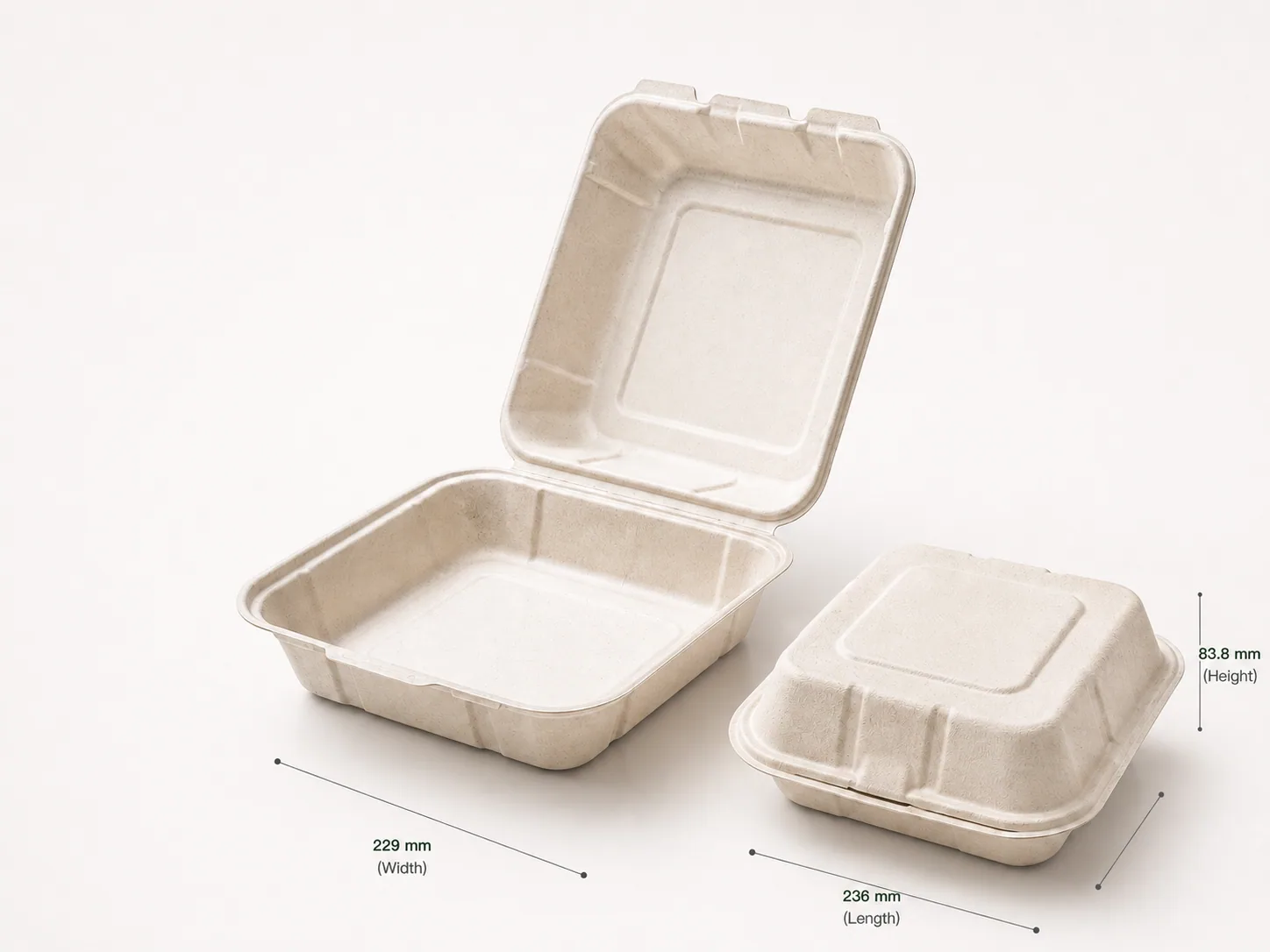 9" x 9" Compostable Clamshell | 1 Compartment |  PFAS-Free