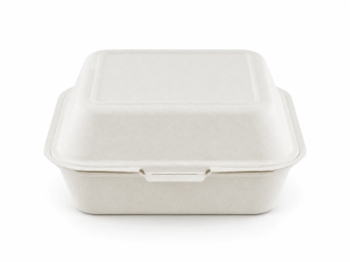 Standard Bagasse Lunchbox & Meal Containers