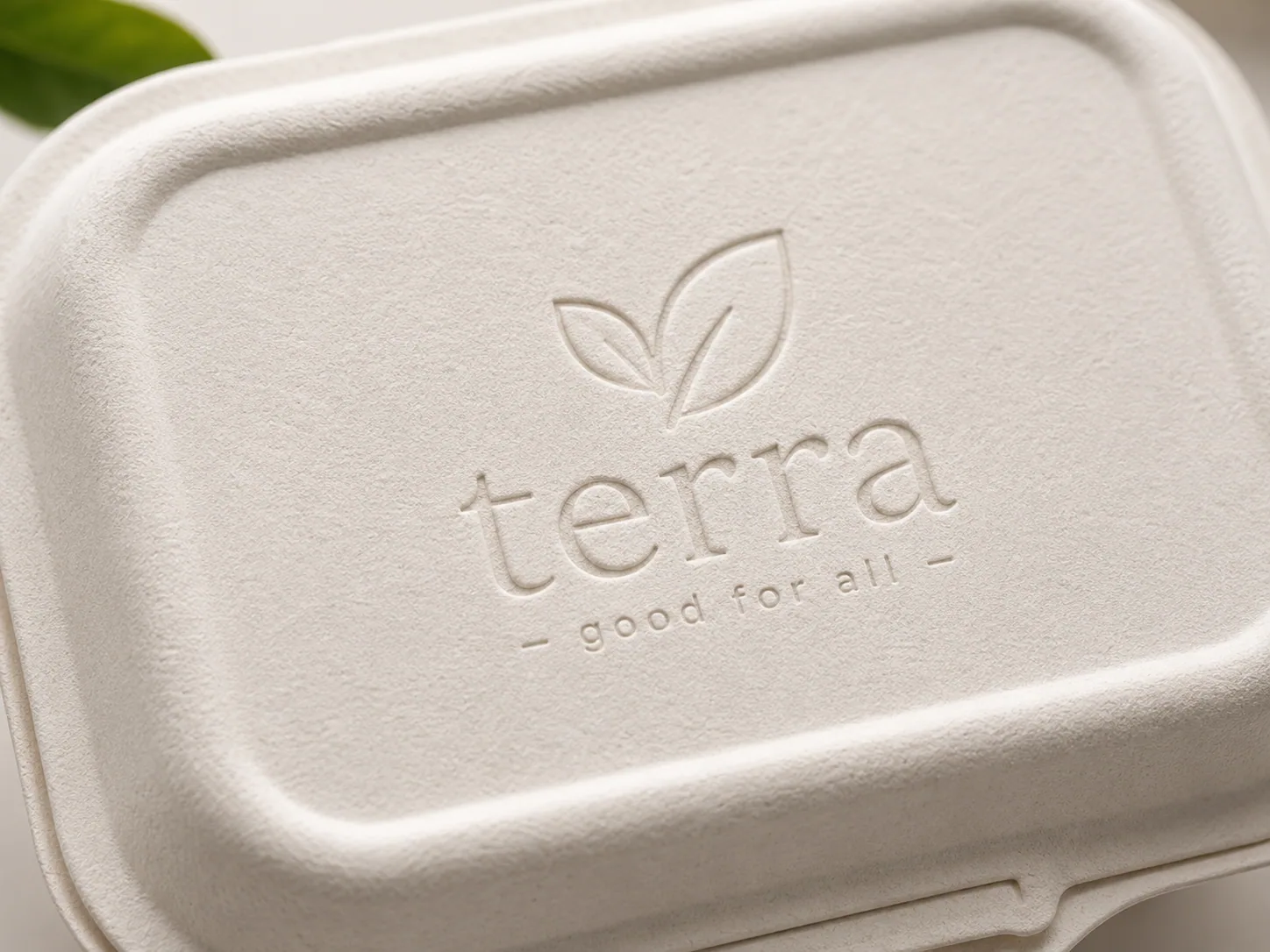 Bagasse Burger Box & Sandwich Containers
