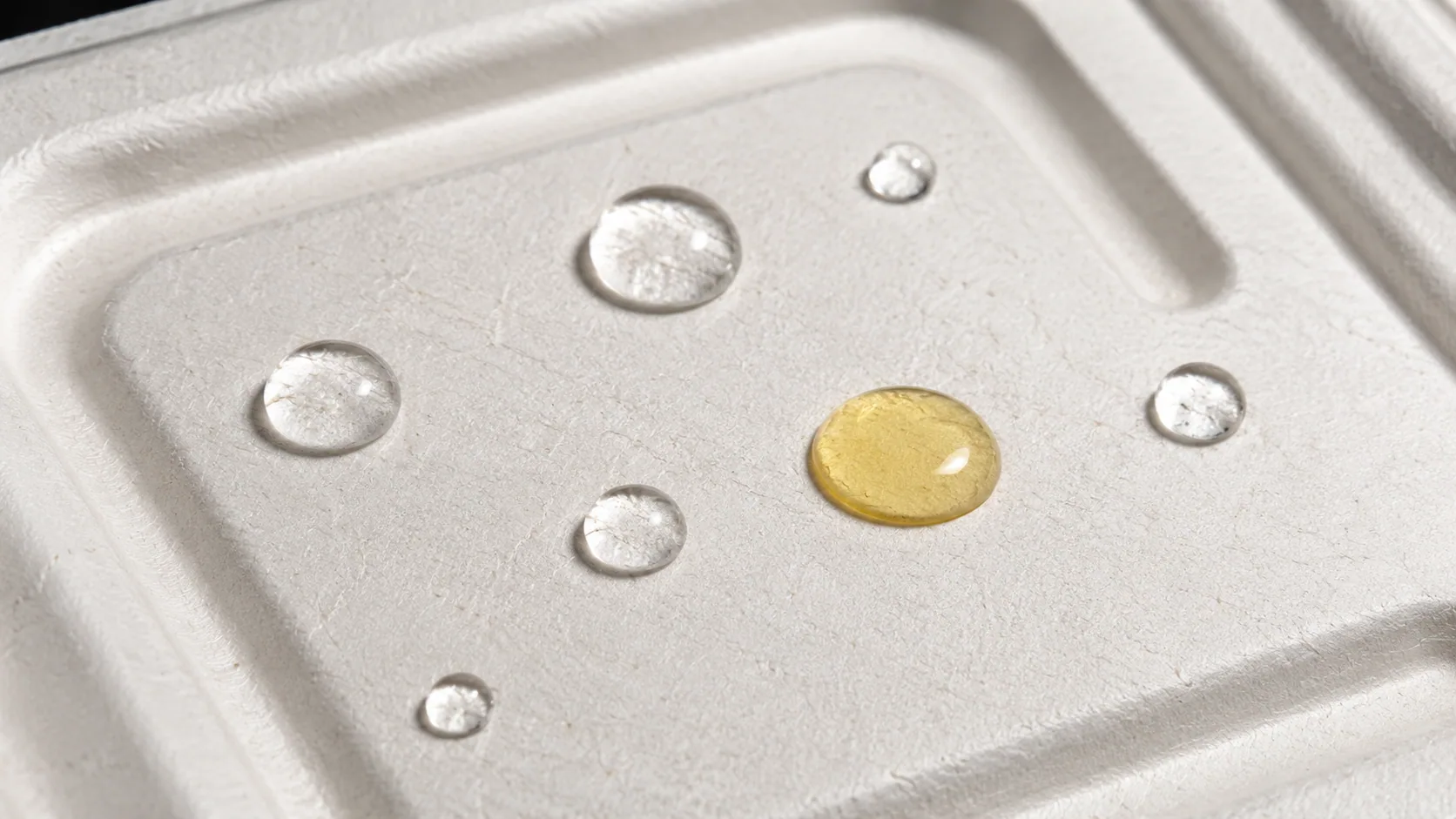 Oil and water droplets on bagasse clamshell surface