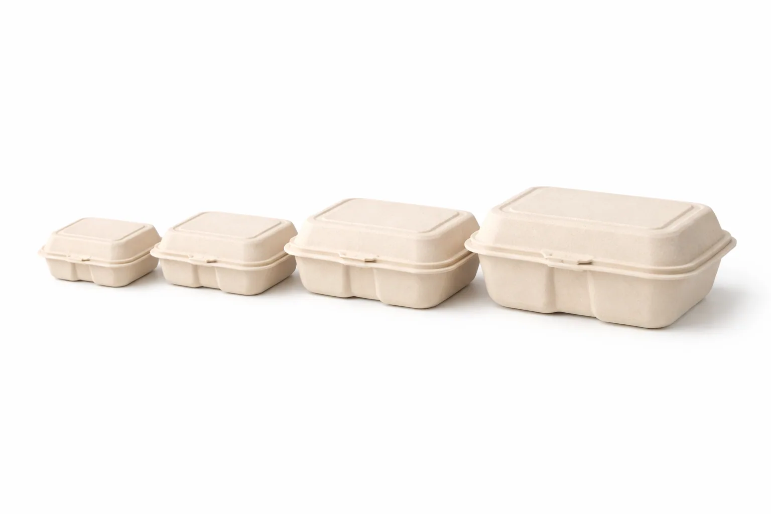 Wholesale Sugarcane Bagasse Food Containers for Restaurants and Packaging Buyers