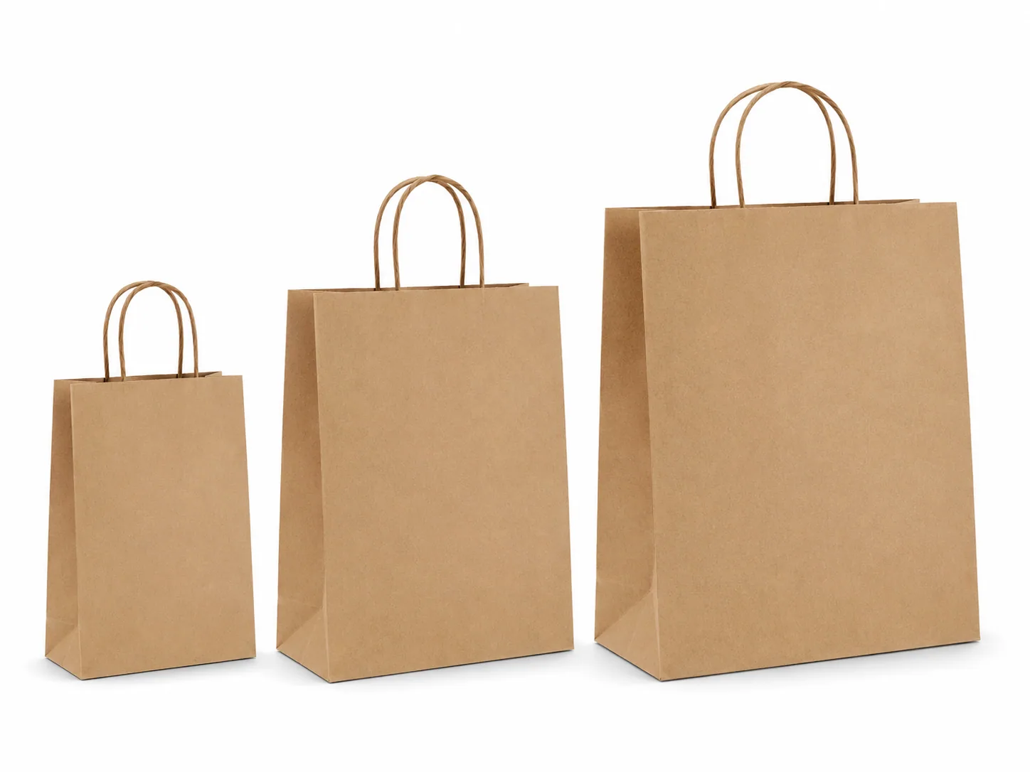 Twisted handle kraft paper bags