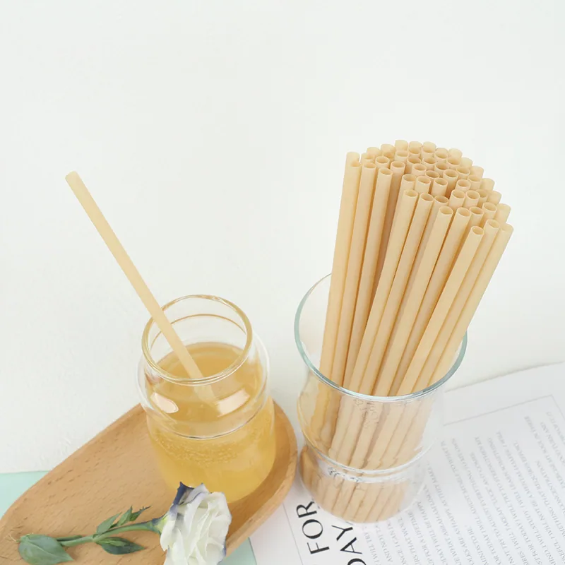 PHA Sugarcane Bagasse Straw product image for PHA vs PLA straw comparison