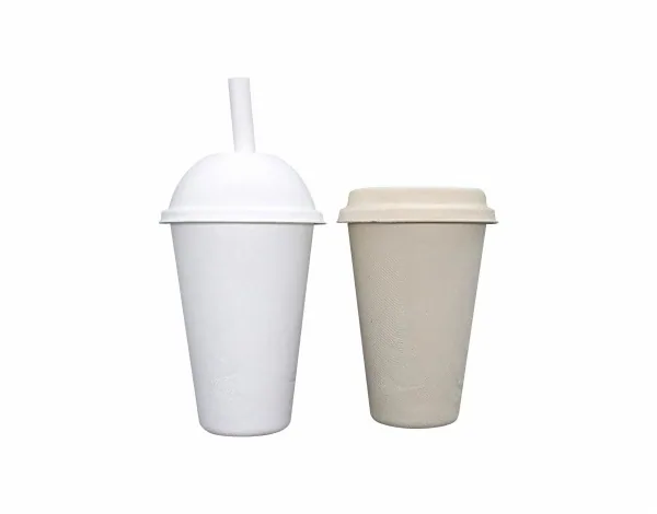 Compostable Smoothie Cup 16 oz