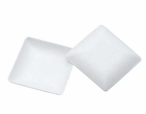Großhandel Bagasse Dish für Lebensmittelservice Verpackung