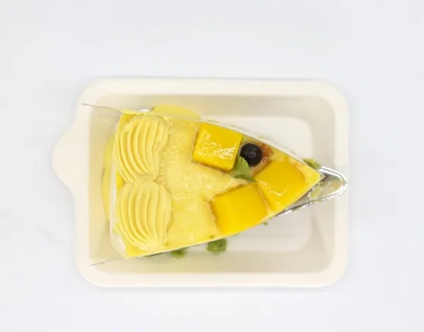 Bagasse Mini Dessert Teller