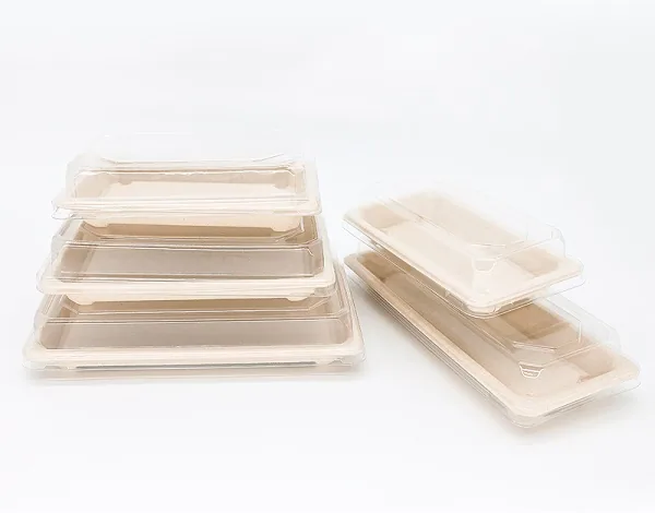 Warum Quelle Bagasse Dish mit TOGO