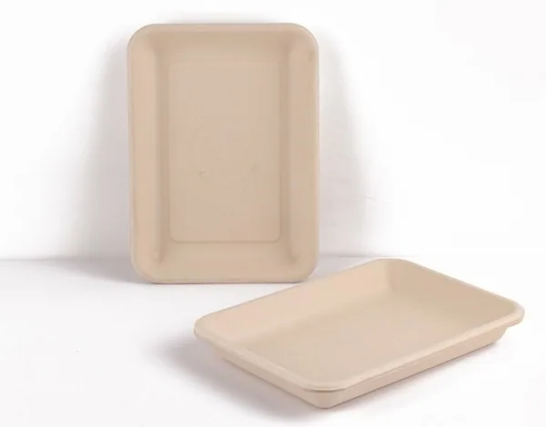 Compostable Veggie and Fruit Tray
