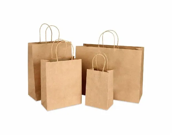 Kraft Paper Shopping Bags