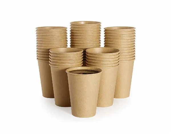 Compostable Paper Hot Cup 9 oz