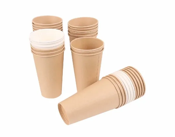 Compostable Double Wall Paper Cup 10 oz
