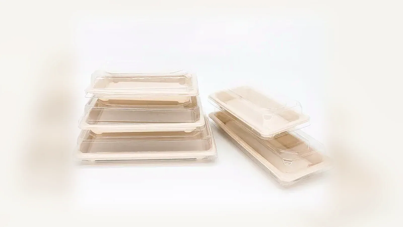 TOGO bagasse food trays product image for catering trays and dishes